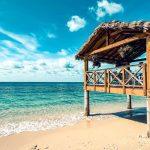 Credo’s blowout quarter hides a huge risk Wall Street can’t ignore